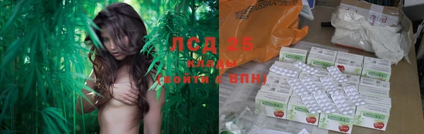 apvp Елабуга