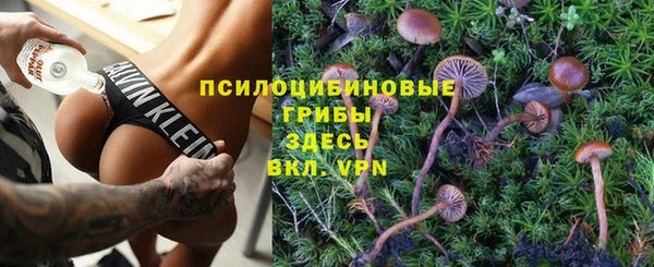 apvp Елабуга